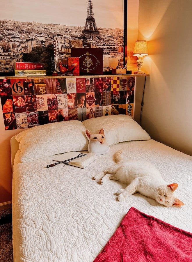 CONQUEST CON*QUEST Conquest Journals Harry Potter Gryffindor Wall Collage, Set of Fifty Collectible 4x6 Official Art Prints From The Wizarding World, Printed on Quality Card Stock, Matte Finish - Image 2